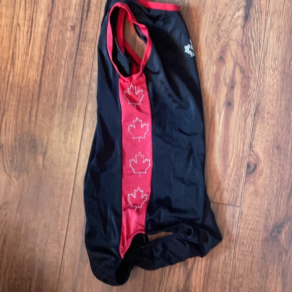 Gymnastics Leo - Picture 3 of 3